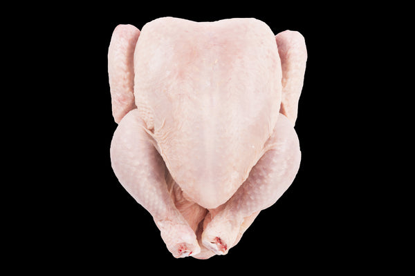Large Chicken