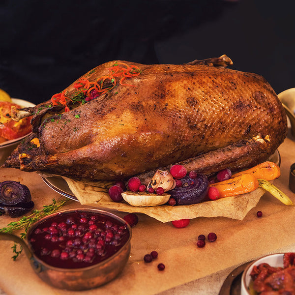 Goose (Appledore, free range)